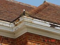 Wilsons Seamless Guttering And Roofline Installation 236364 Image 5